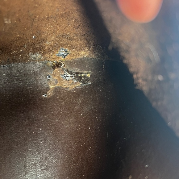 Vintage Coach Patricia's Legacy Bag in dark brown leather Crossbody Style 9951 - Picture 11 of 12